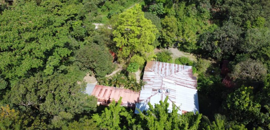 Turn-key Jungle Lodge in the Osa Peninsula