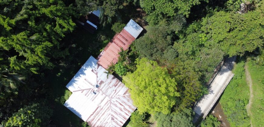 Turn-key Jungle Lodge in the Osa Peninsula