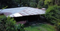 Turn-key Jungle Lodge in the Osa Peninsula