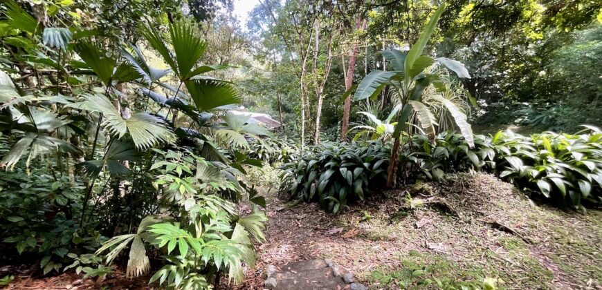 Turn-key Jungle Lodge in the Osa Peninsula