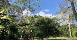 Beautiful Home and Property in Puerto Jiménez Osa Peninsula