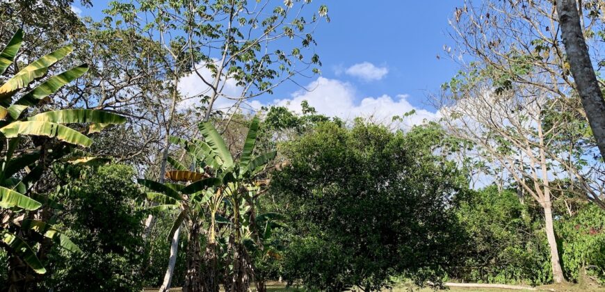 Beautiful Home and Property in Puerto Jiménez Osa Peninsula