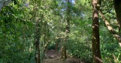 Beautiful Home and Property in Puerto Jiménez Osa Peninsula