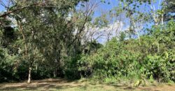 Beautiful Home and Property in Puerto Jiménez Osa Peninsula