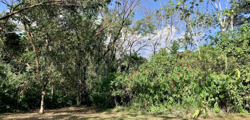 Beautiful Home and Property in Puerto Jiménez Osa Peninsula