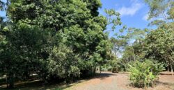 Beautiful Home and Property in Puerto Jiménez Osa Peninsula