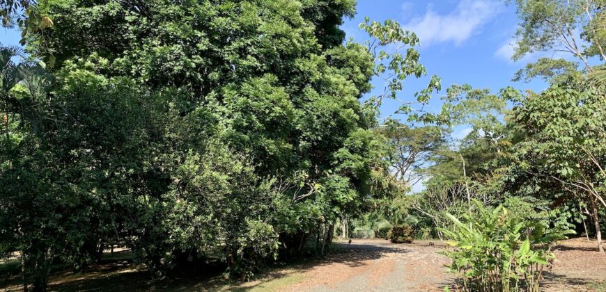 Beautiful Home and Property in Puerto Jiménez Osa Peninsula