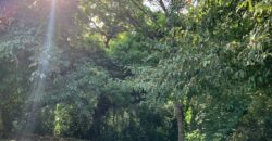 Beautiful Home and Property in Puerto Jiménez Osa Peninsula