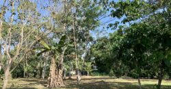 Beautiful Home and Property in Puerto Jiménez Osa Peninsula