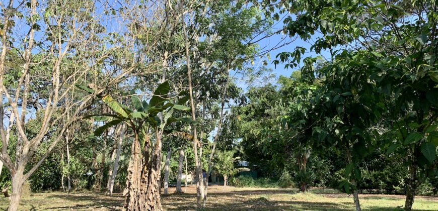 Beautiful Home and Property in Puerto Jiménez Osa Peninsula