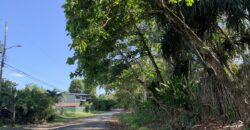 Beautiful Home and Property in Puerto Jiménez Osa Peninsula