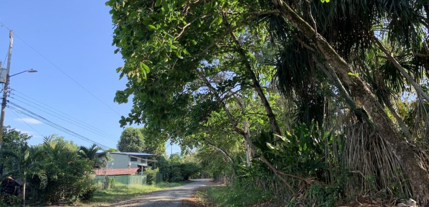 Beautiful Home and Property in Puerto Jiménez Osa Peninsula