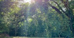 Beautiful Home and Property in Puerto Jiménez Osa Peninsula