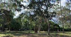 Beautiful Home and Property in Puerto Jiménez Osa Peninsula