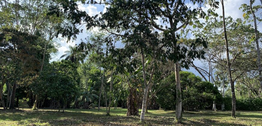 Beautiful Home and Property in Puerto Jiménez Osa Peninsula