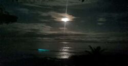 Point Break Beachfront Property Osa Peninsula