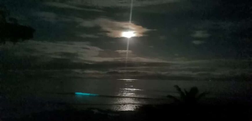 Point Break Beachfront Property Osa Peninsula