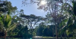 Beautiful Home and Property in Puerto Jiménez Osa Peninsula