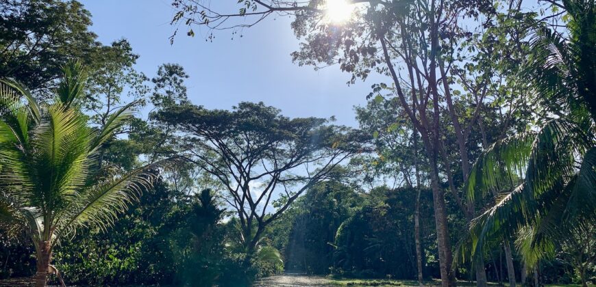 Beautiful Home and Property in Puerto Jiménez Osa Peninsula