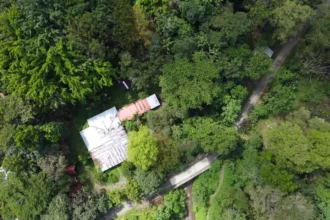 Turn-key Jungle Lodge in the Osa Peninsula