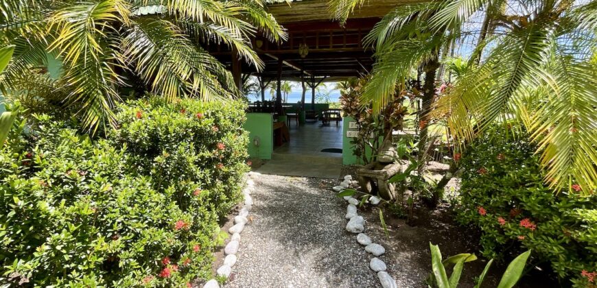 Point Break Beachfront Property Osa Peninsula