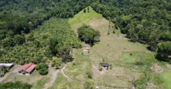 Ocean View Property In Osa Peninsula