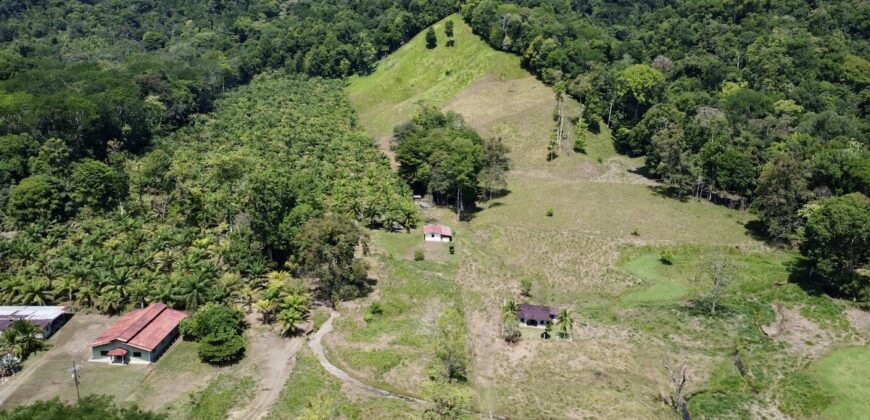 Ocean View Property In Osa Peninsula