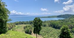 Ocean View Property In Osa Peninsula