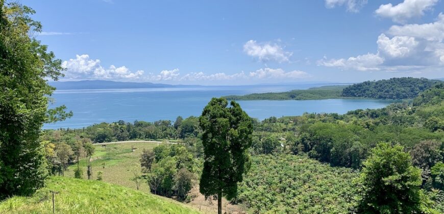 Ocean View Property In Osa Peninsula