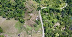 Ocean View Property In Osa Peninsula