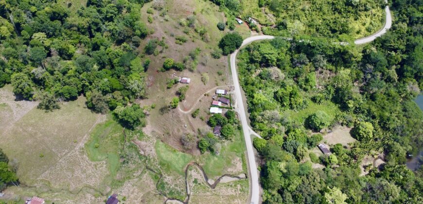 Ocean View Property In Osa Peninsula