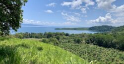 Ocean View Property In Osa Peninsula