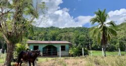 Ocean View Property In Osa Peninsula
