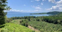 Ocean View Property In Osa Peninsula