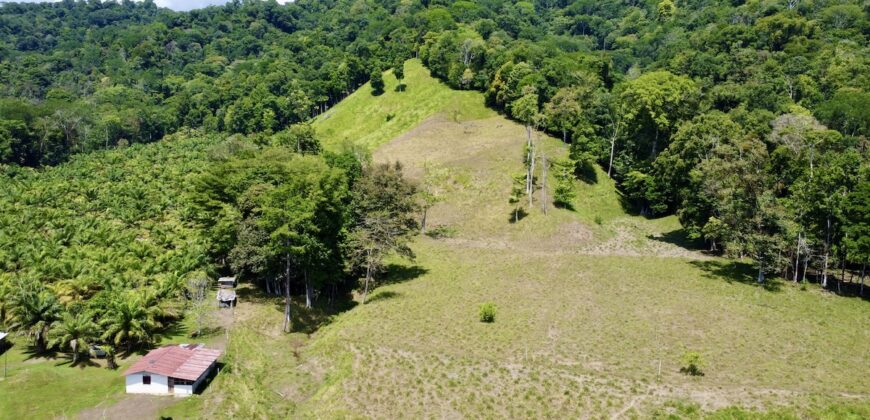 Ocean View Property In Osa Peninsula