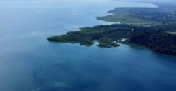 Ocean View Property In Osa Peninsula