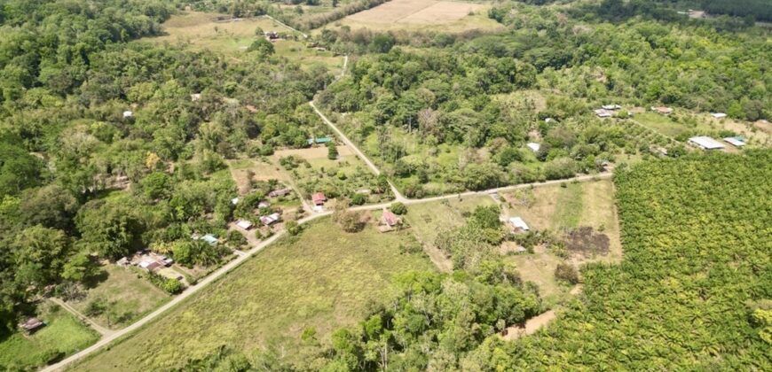 2.4 Acres Building Lot in Osa Peninsula