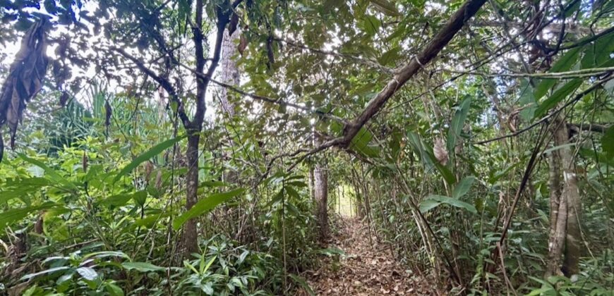 2.4 Acres Building Lot in Osa Peninsula