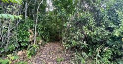 2.4 Acres Building Lot in Osa Peninsula