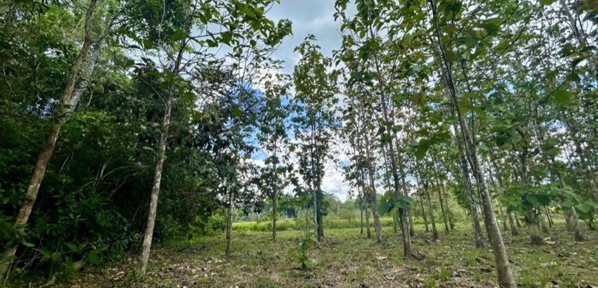 2.4 Acres Building Lot in Osa Peninsula