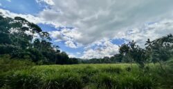 2.4 Acres Building Lot in Osa Peninsula