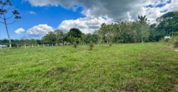 2.4 Acres Building Lot in Osa Peninsula