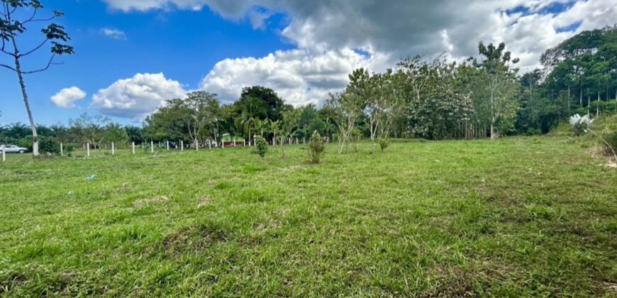 2.4 Acres Building Lot in Osa Peninsula