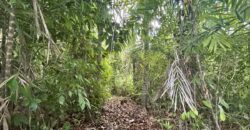 2.4 Acres Building Lot in Osa Peninsula