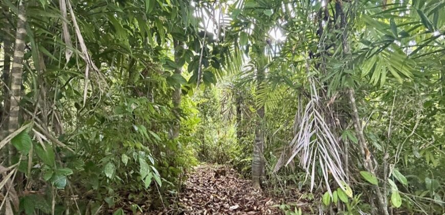 2.4 Acres Building Lot in Osa Peninsula