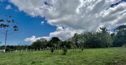 2.4 Acres Building Lot in Osa Peninsula