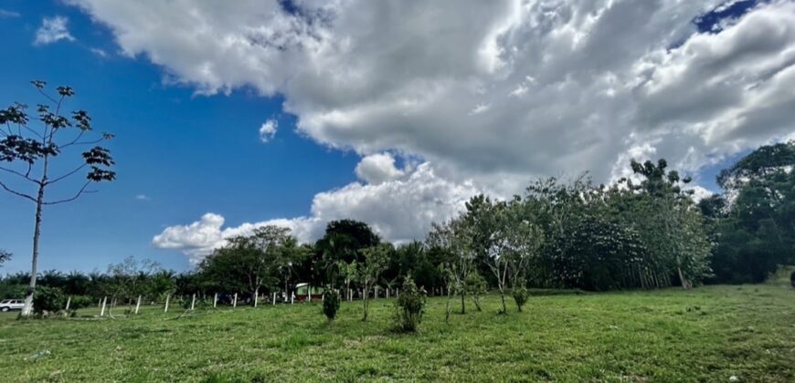 2.4 Acres Building Lot in Osa Peninsula