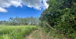 2.4 Acres Building Lot in Osa Peninsula