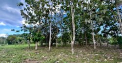 2.4 Acres Building Lot in Osa Peninsula