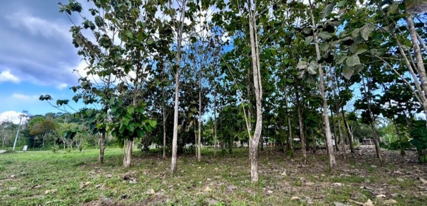 2.4 Acres Building Lot in Osa Peninsula